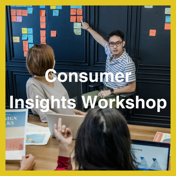 Consumer Insights Workshop (1 day)