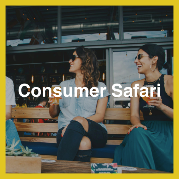 Consumer Safari (1 day)