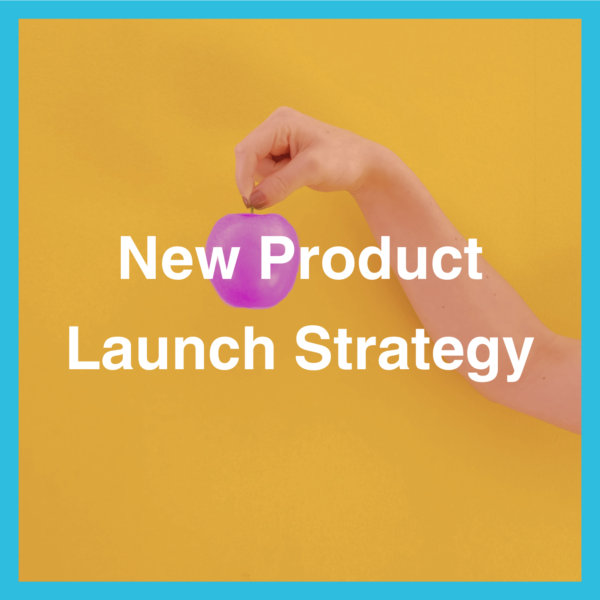 New Product or Service Launch Strategy