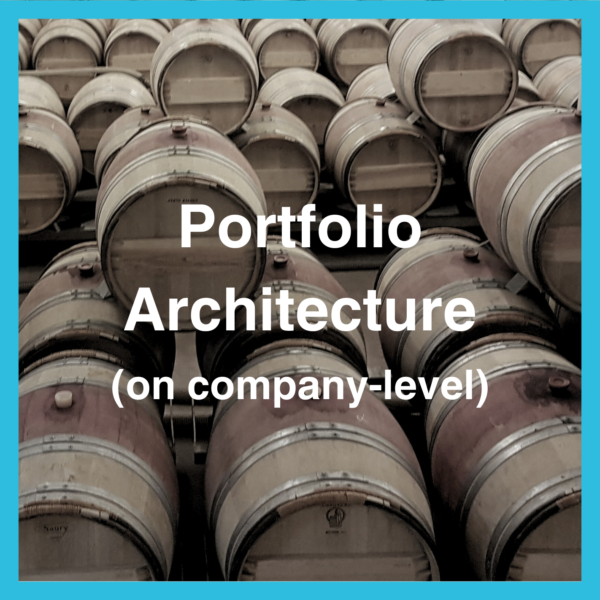 Portfolio Architecture (on company level)